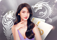 Dragon Tiger
