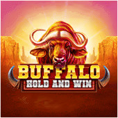 Buffalo Hold and Win
