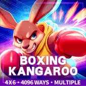 Boxing Kangaroo